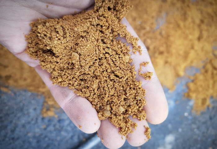 firma geoquercus, firma geologiczna